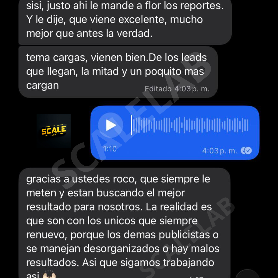 Feedback cliente