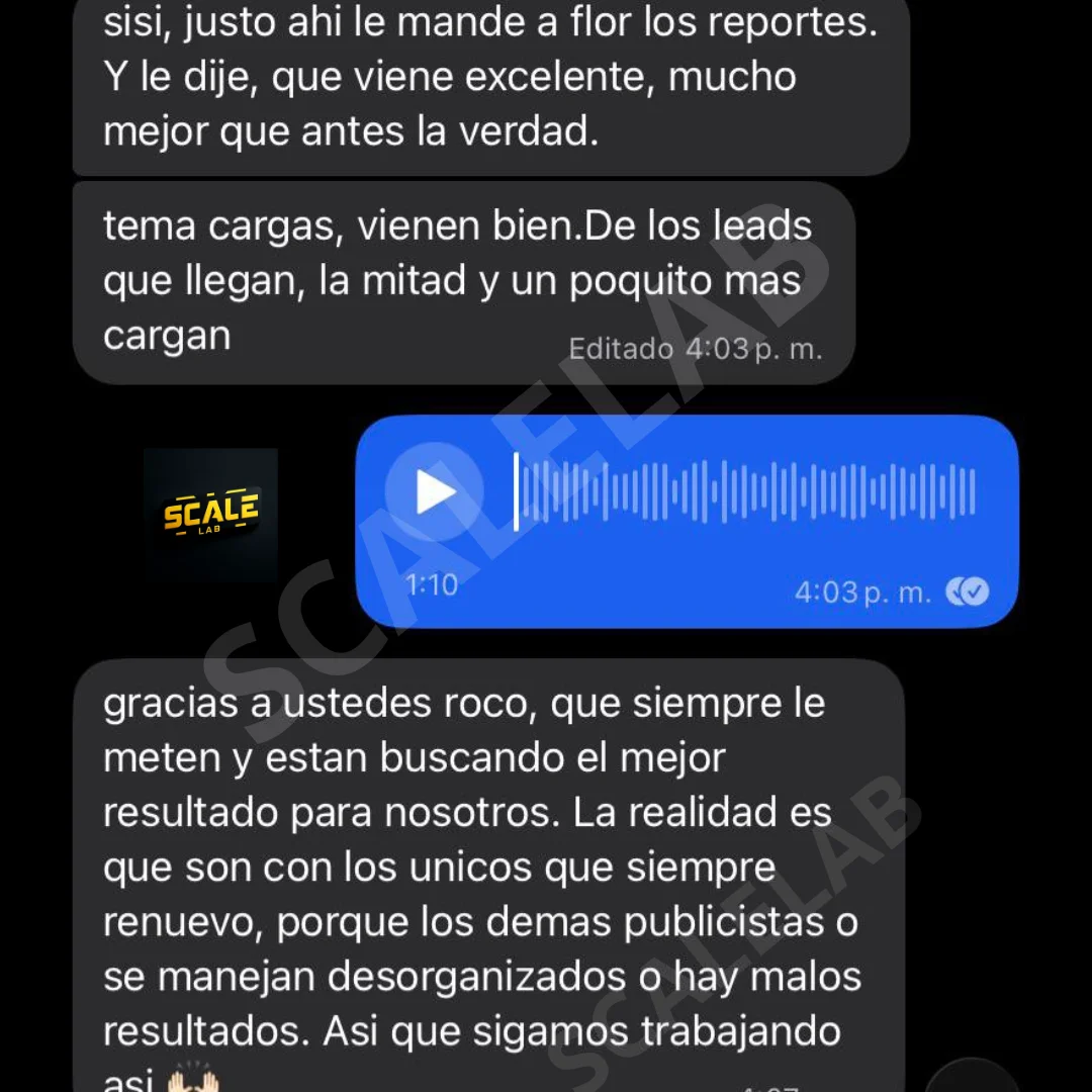 Feedback cliente